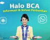 Cara Menghubungi Halo BCA
