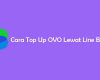Cara Top Up OVO Lewat Line Bank
